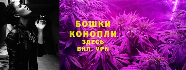 спиды Осинники