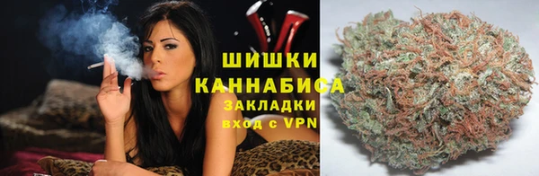 мяу мяу кристалл Няндома
